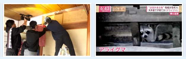 害獣プロテック