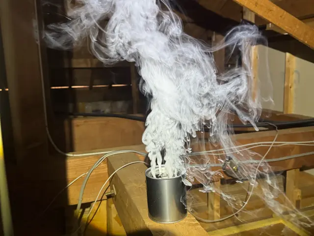 大阪府枚方の害獣駆除業者:駆除本舗