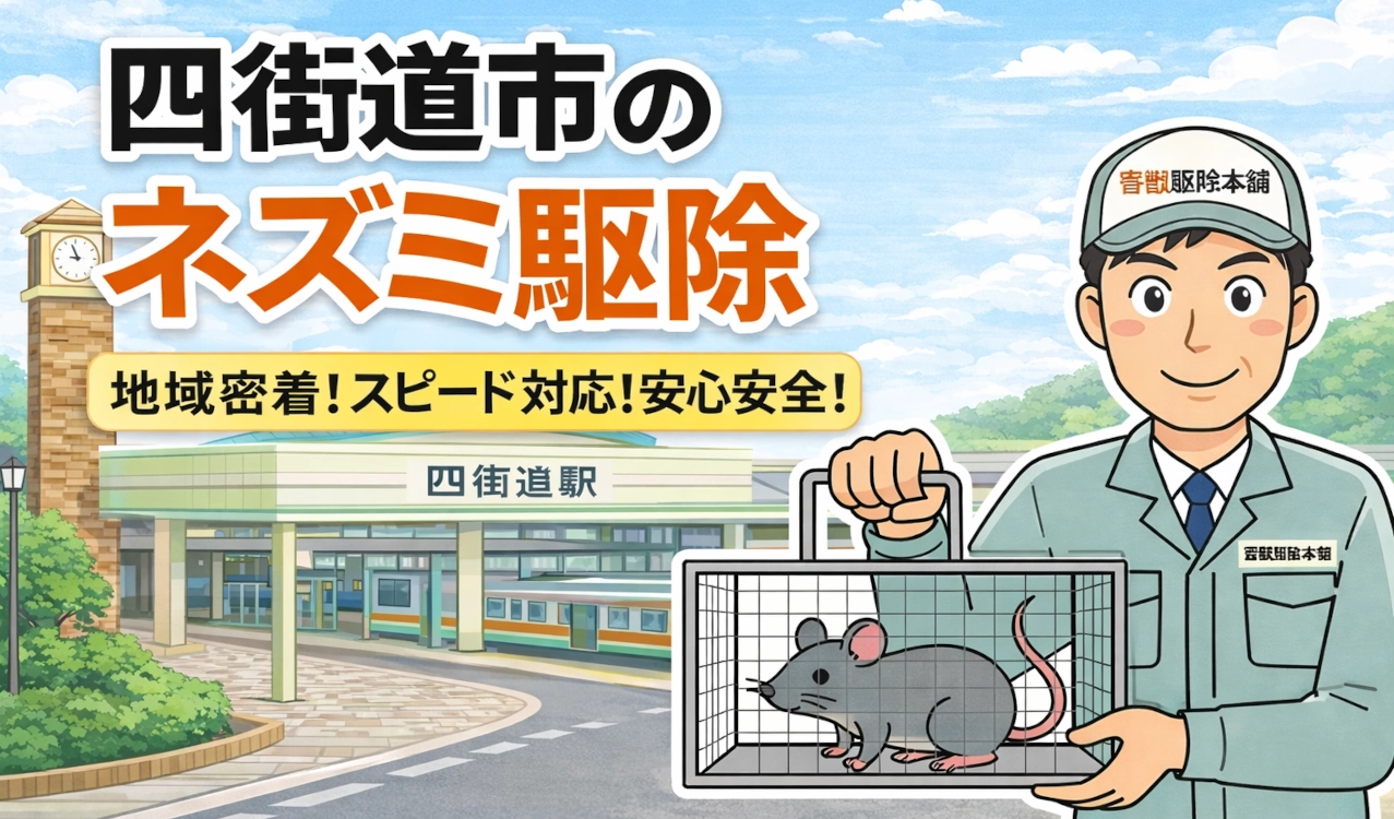 四街道市のネズミ駆除業者